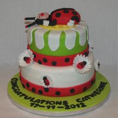 ladybug 3