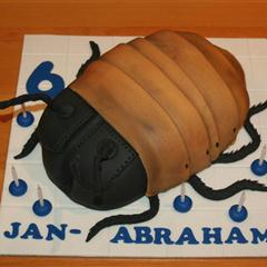 bug 1