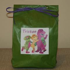 Barney party bag