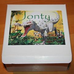 Dinosaur white party box